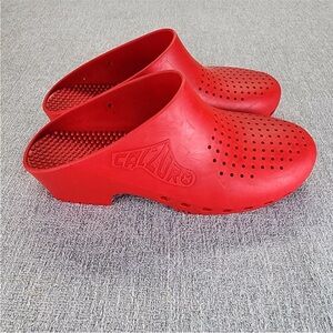 Calzuro Clogs